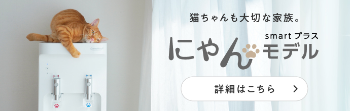 にゃんモデル