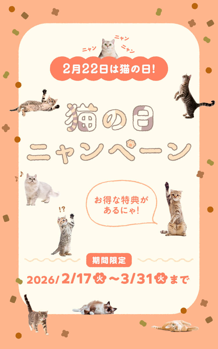 2月22日は猫の日！猫の日ニャンペーン 期間限定2026年2月17日（火）～3月31日（火）まで