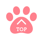 ページの先頭へ戻る