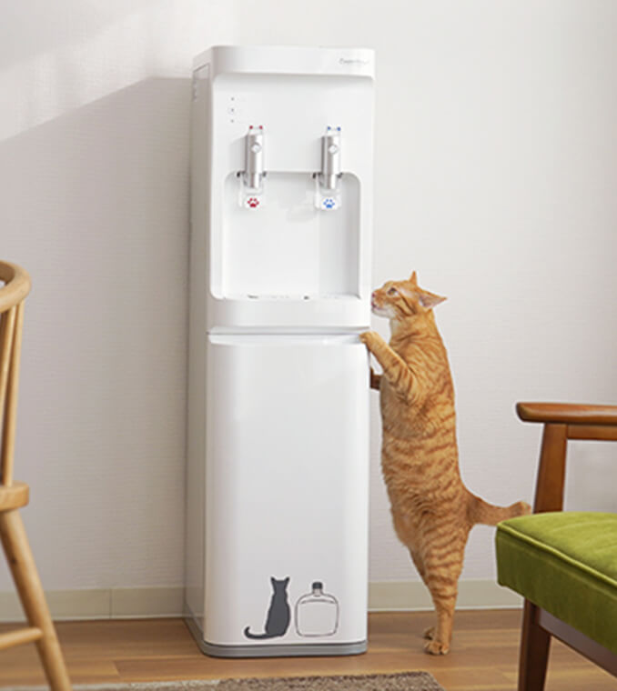 【専用】ミケネコ宅急便さま　ウォーターサーバー本体 プラスモア plusmore ウォーターサーバー 2L 卓上 本体 ペット
