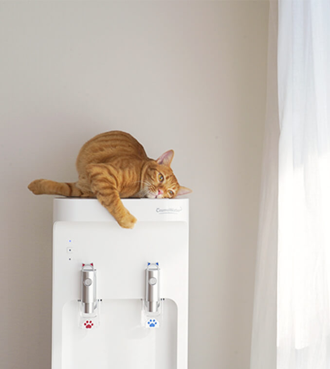 smartプラス にゃんモデル - 天然水ウォーターサーバー | 天然水