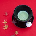 茶の湯の文化が生まれた古都・京都のお水ってどんな味？